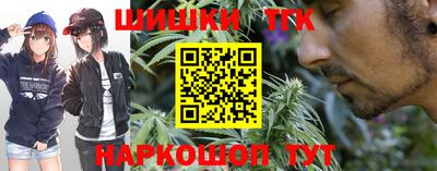 apvp Кингисепп