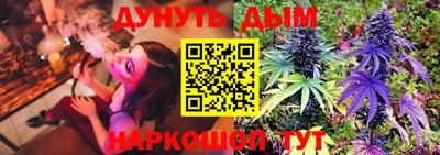 apvp Кингисепп