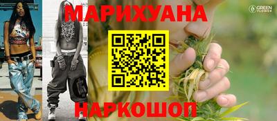 прущие грибы Камышлов